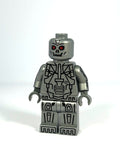 DESTRUCTINATOR (Flat Silver) 1/1